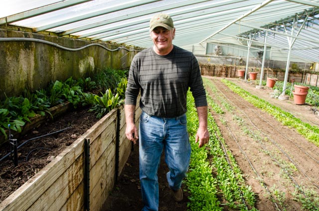 Sierra_Valley_Farms_Greenhouse-24.jpg