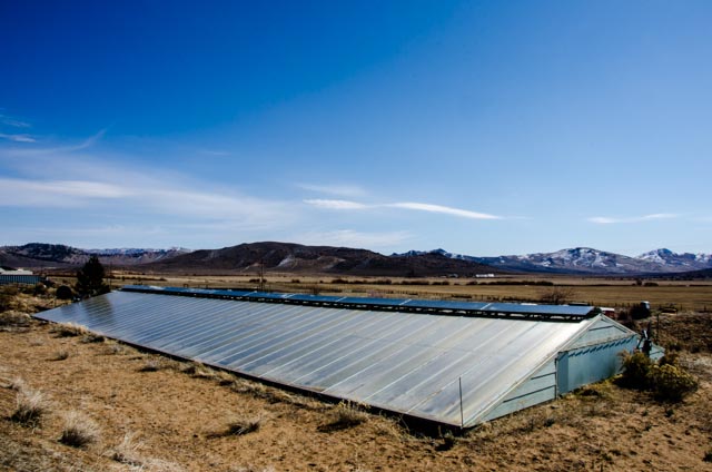 Sierra_Valley_Farms_Greenhouse-150.jpg