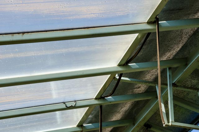 Sierra_Valley_Farms_Greenhouse-68.jpg