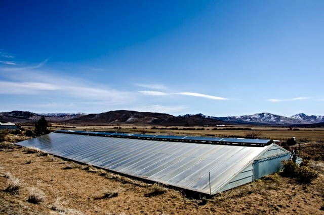 Sierra_Valley_Farms_Greenhouse-150.jpg