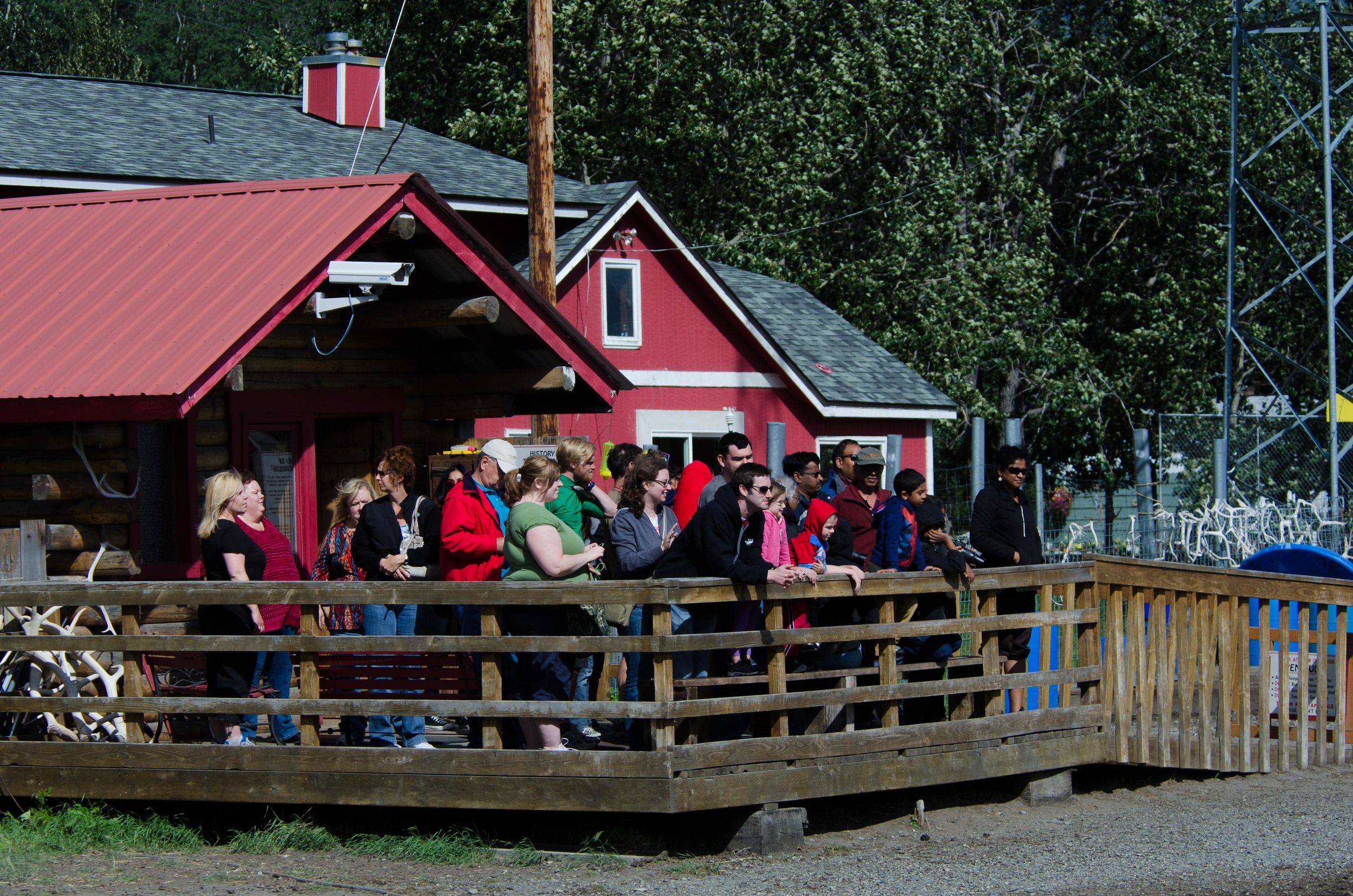 Williams Reindeer Farm-17.jpg