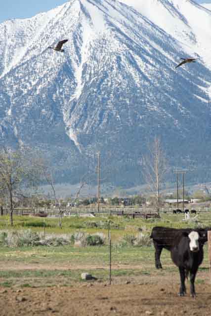 Bently Ranch small-73.jpg