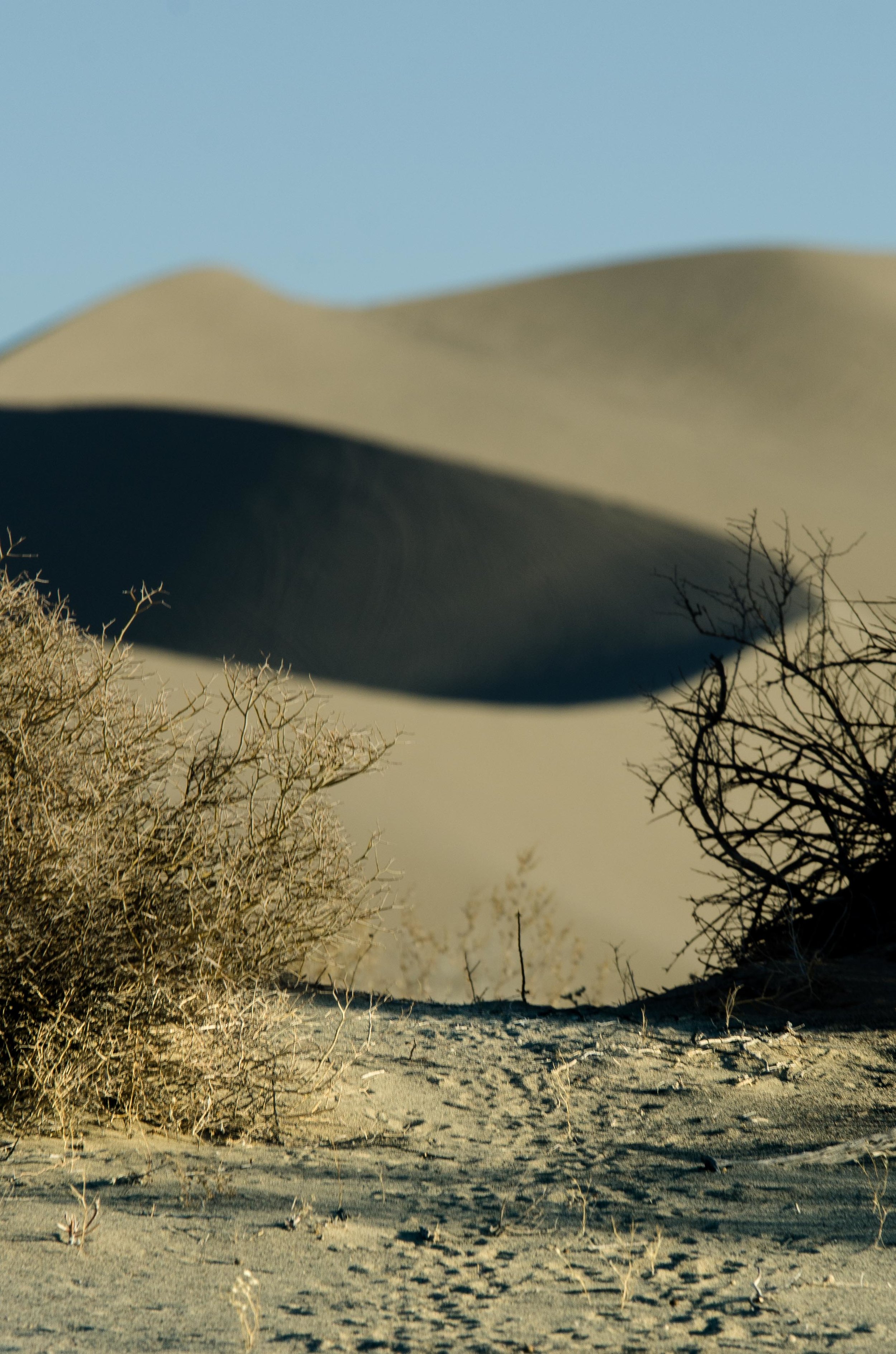 Sand Mountain-a6.jpg