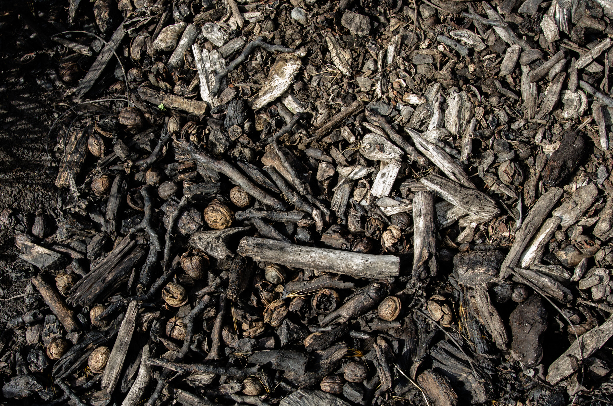 Sean McNamara compost before turning-1.jpg