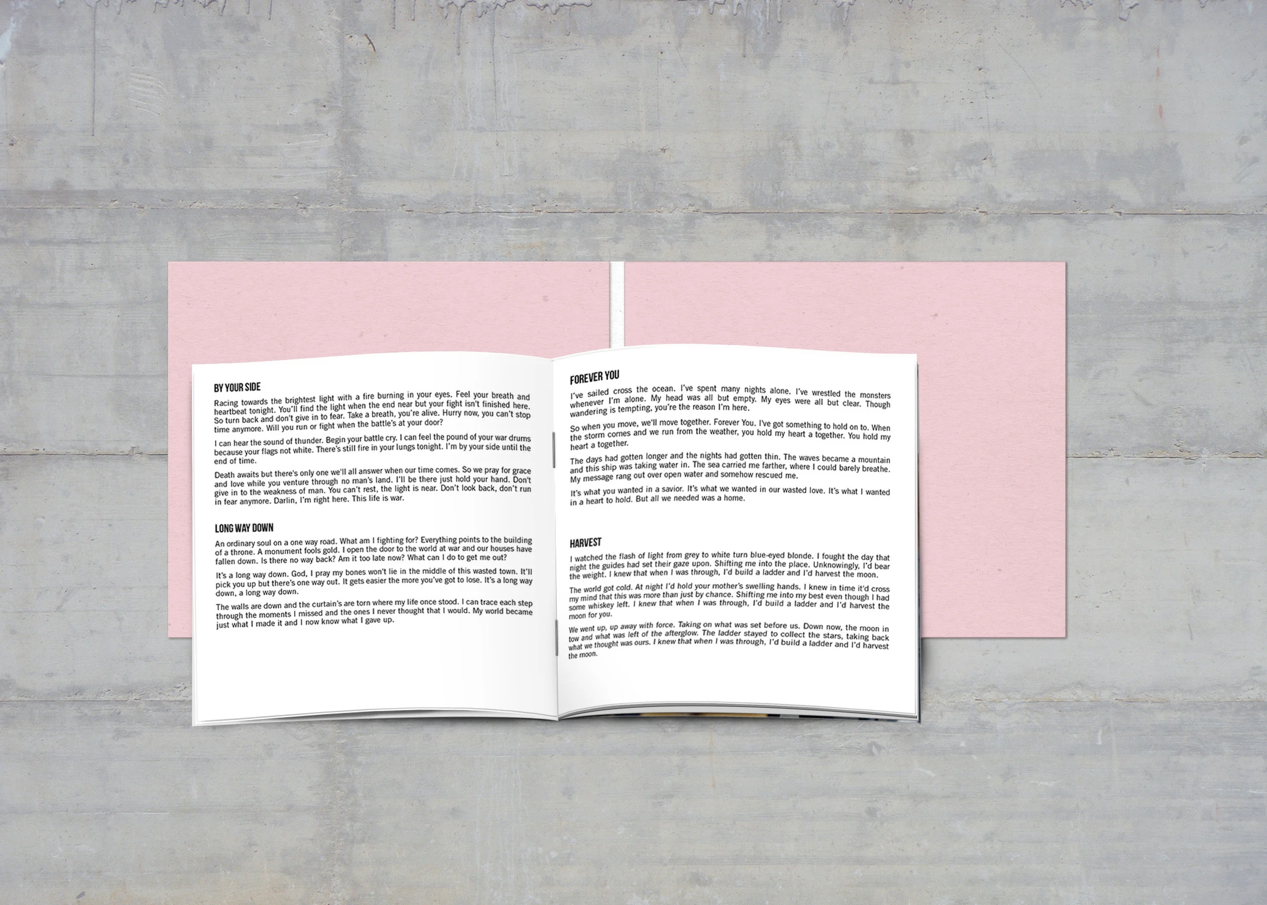 TP_Website-2of2_Mockup_Booklet.jpg