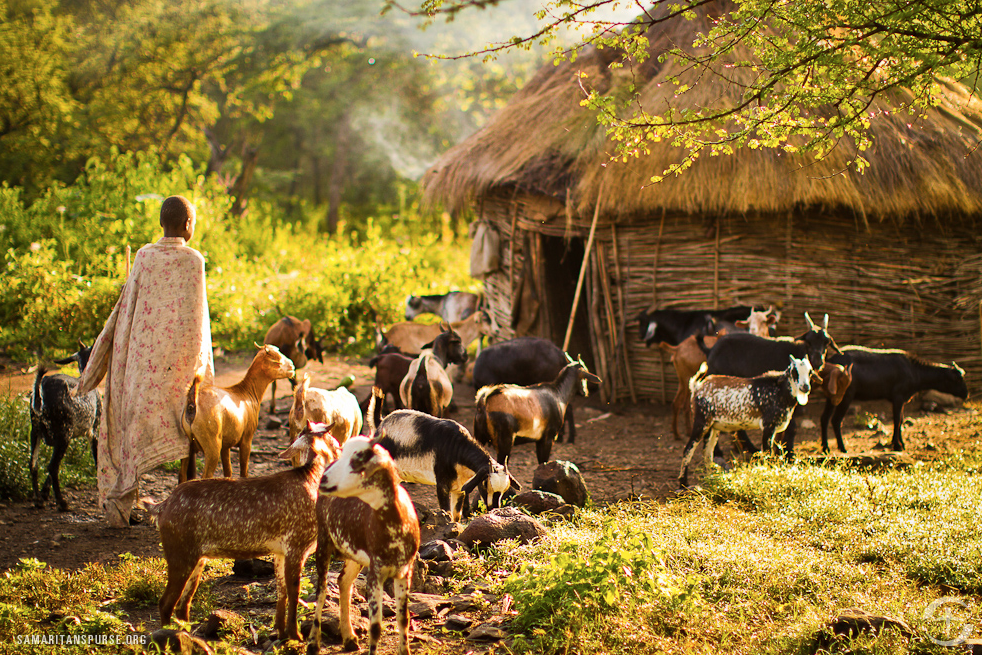 Image by Samaritan's Purse