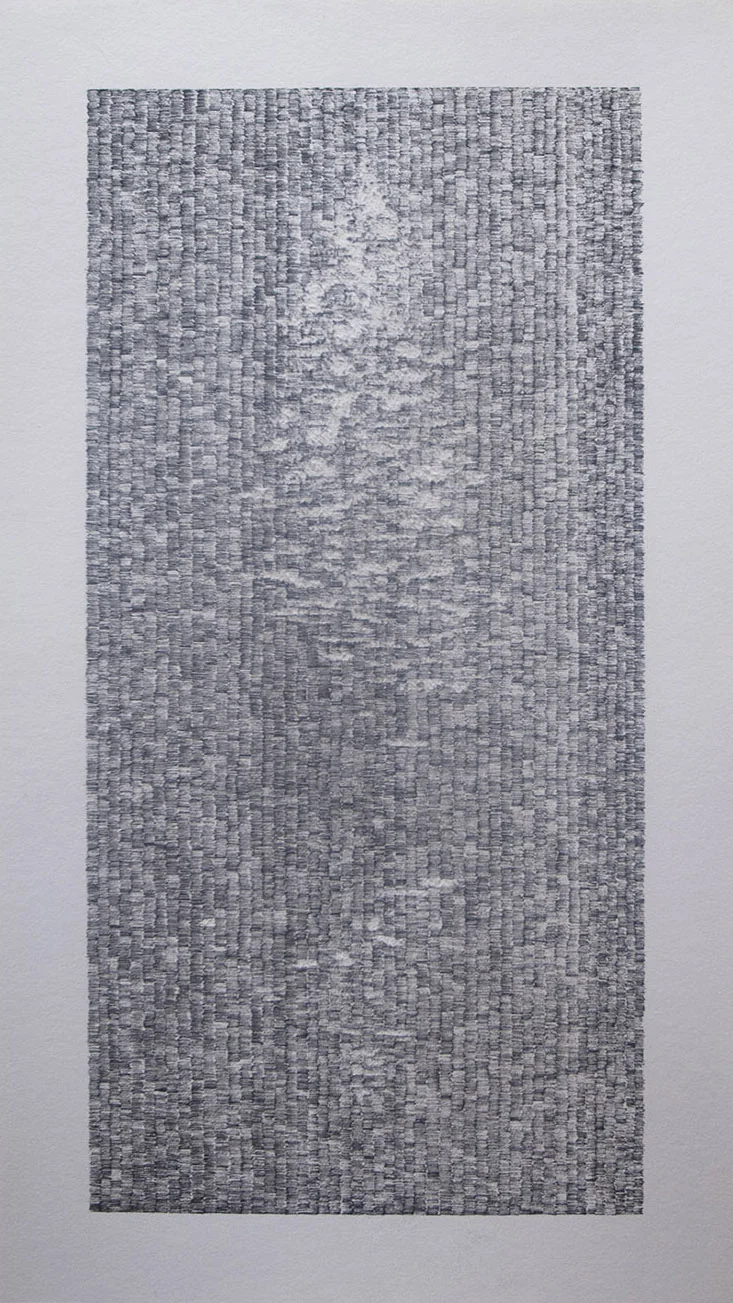 recompose1.jpg