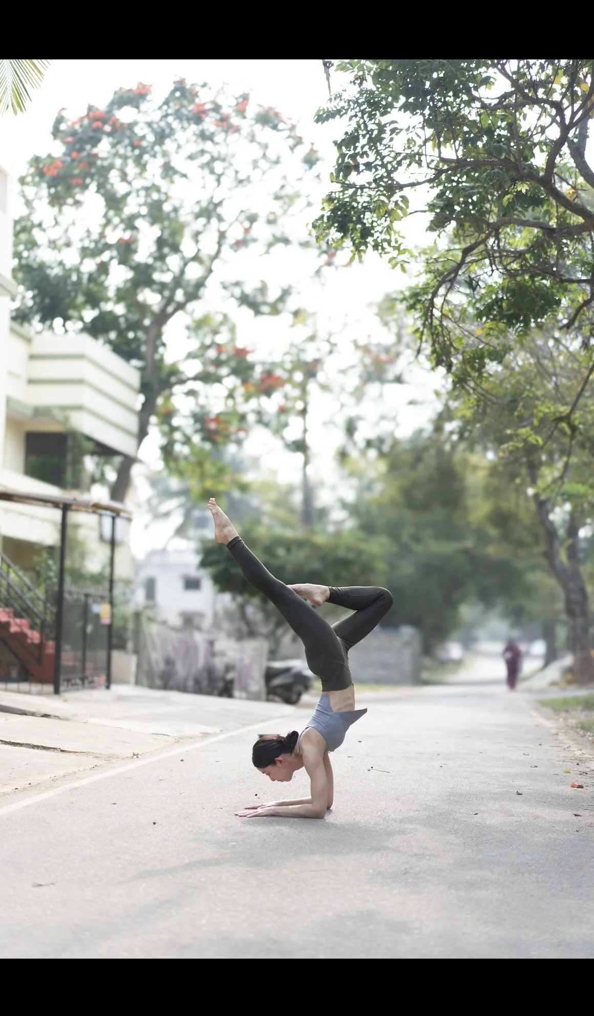 Organic Life Tokyo 講師登壇<2026.4.18>