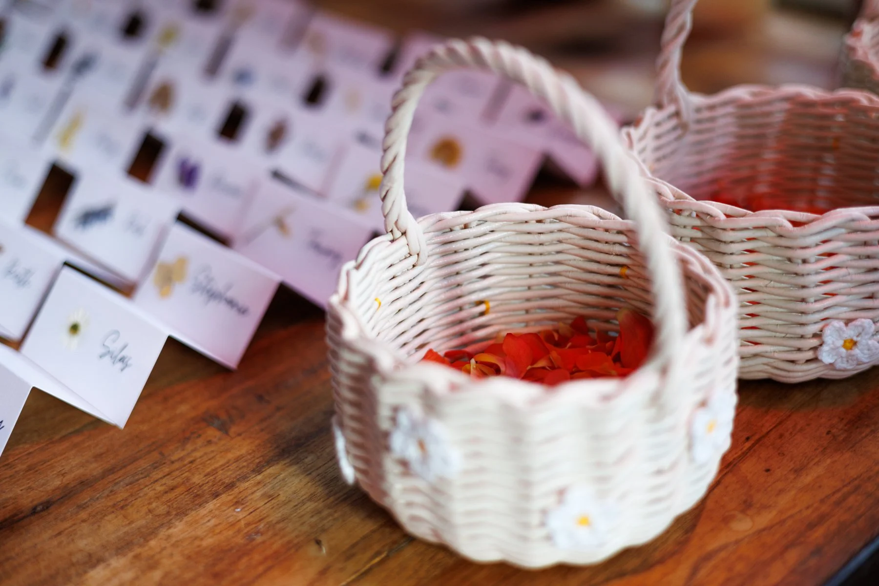 Andrea-Brady-107.jpg