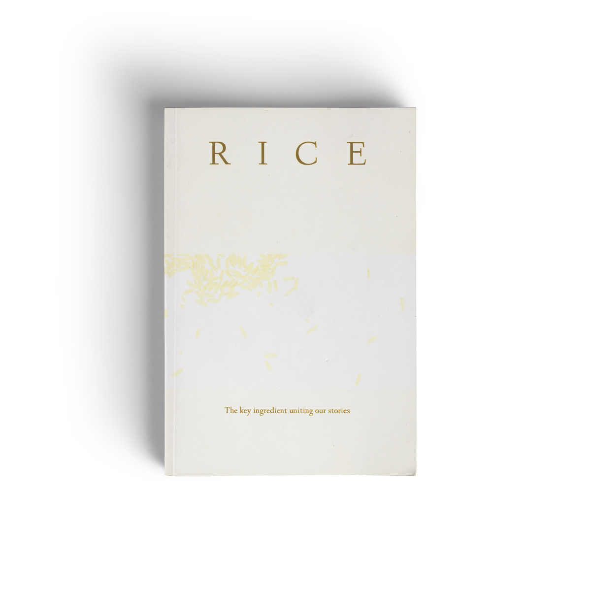 Rice: The key ingredient uniting our stories