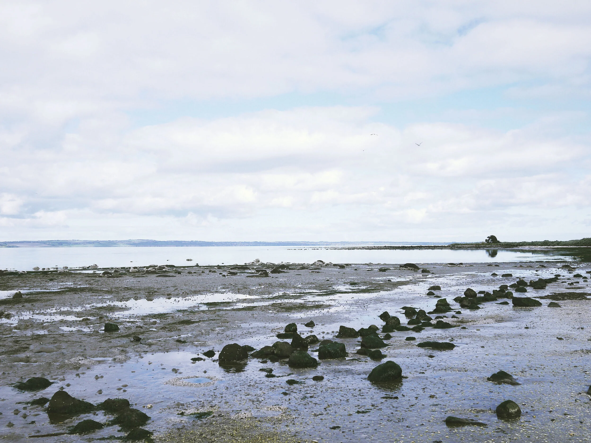 Along the coast line, Point Wilson