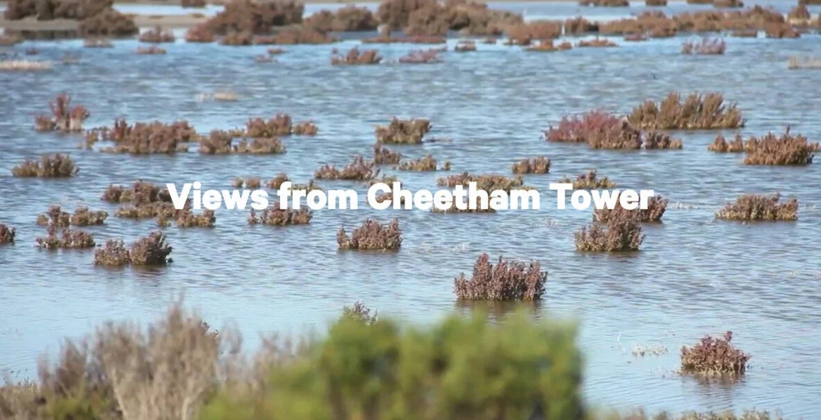 Screenshot_2019-09-23+Views+from+Cheetham+Tower%281%29.jpg