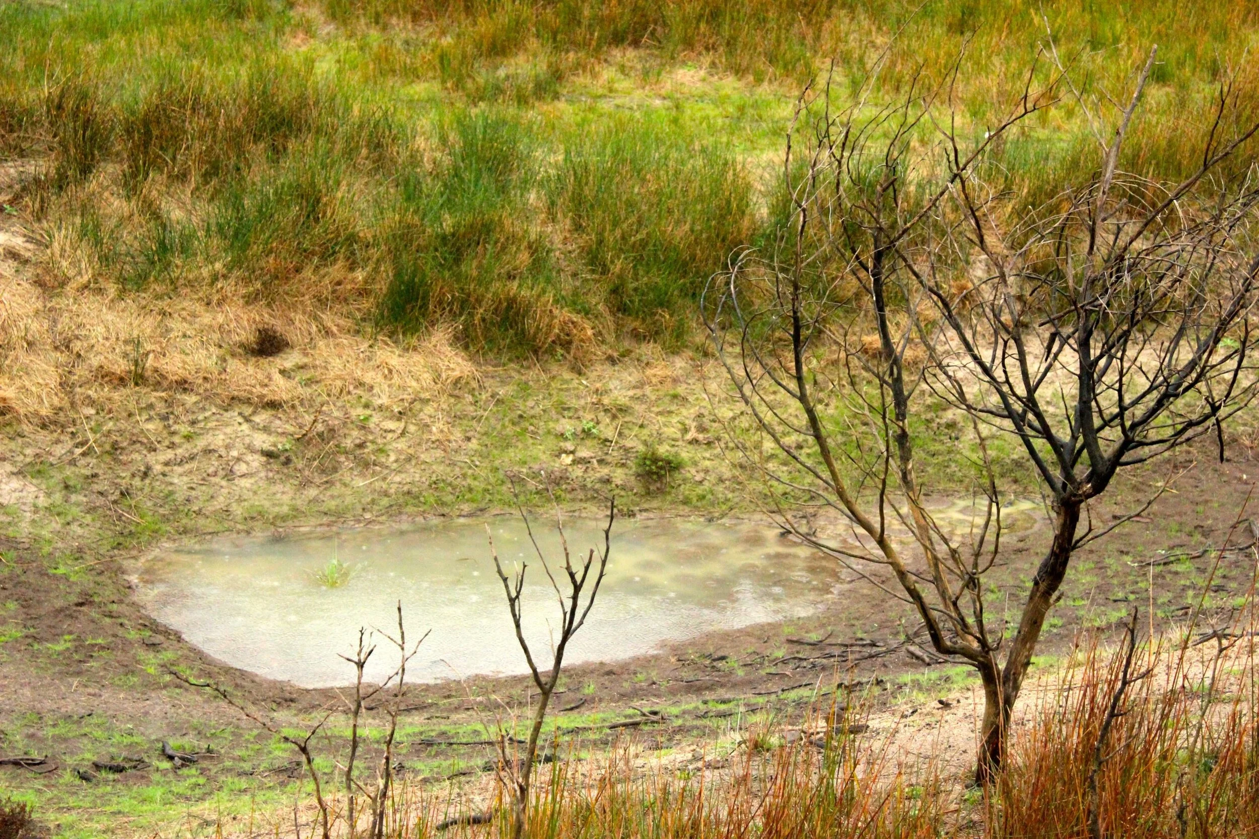The current condition of the Lascelles Dam.