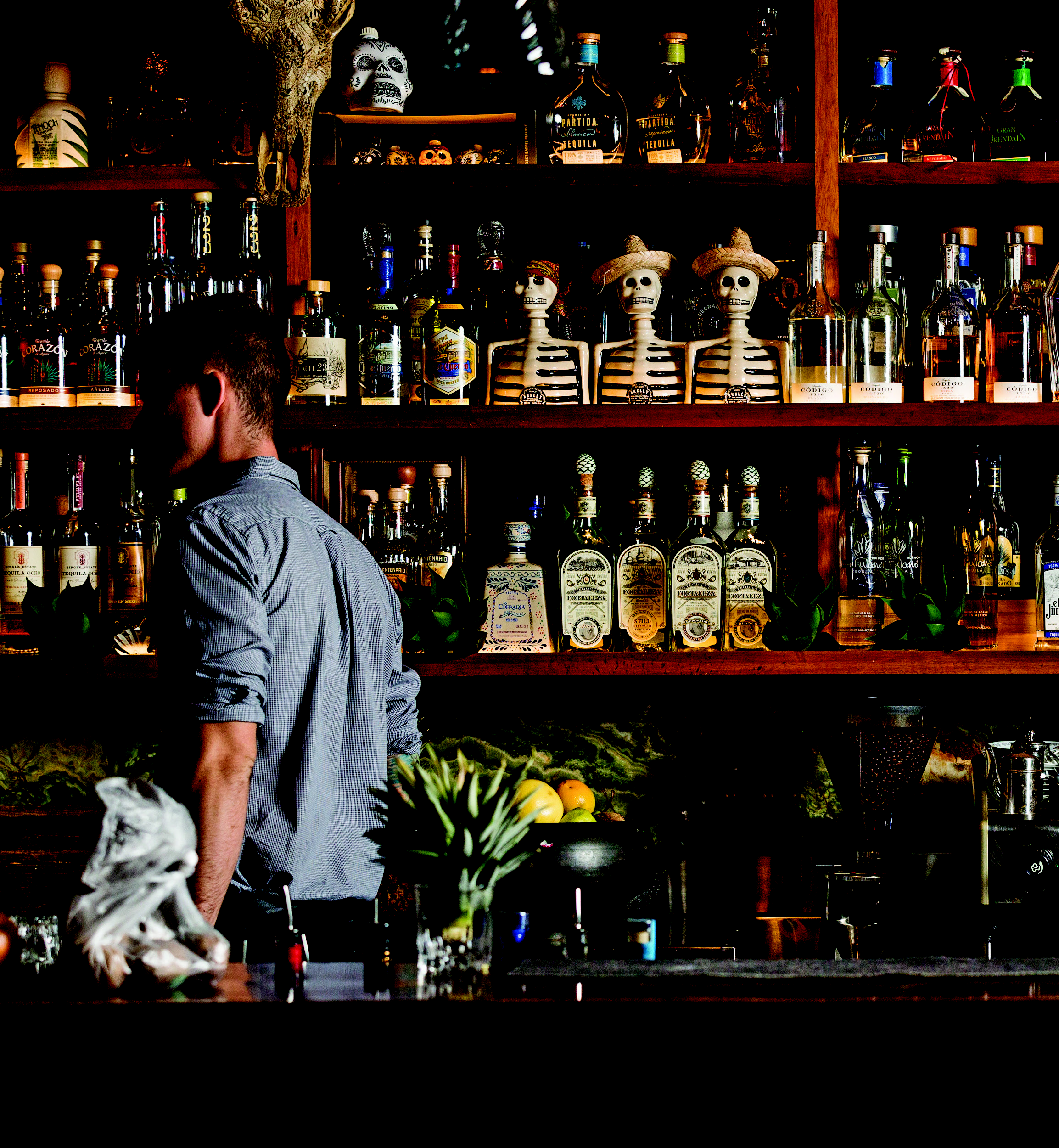 TEQUILA WITHOUT THE HANGOVER