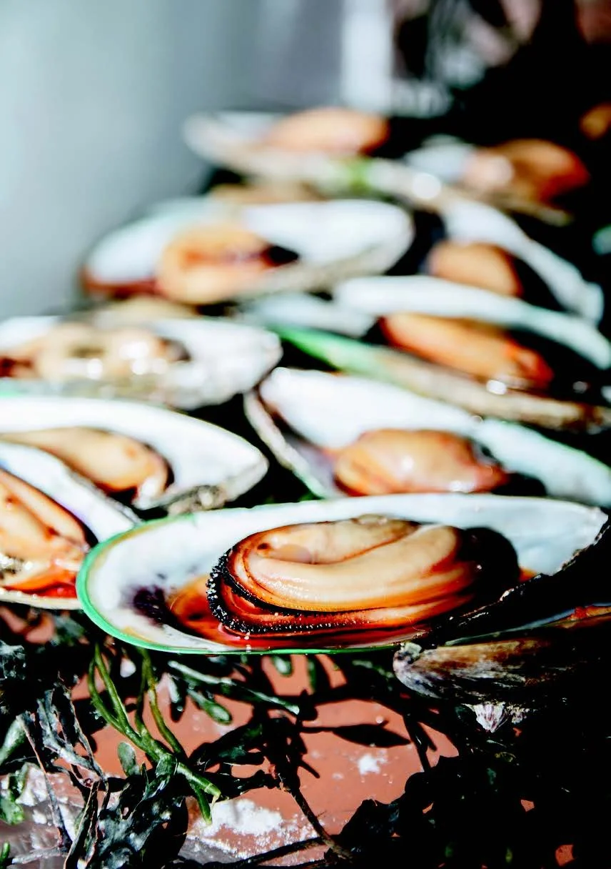 CHEAP AND EASY PASTA ALLA COZZE