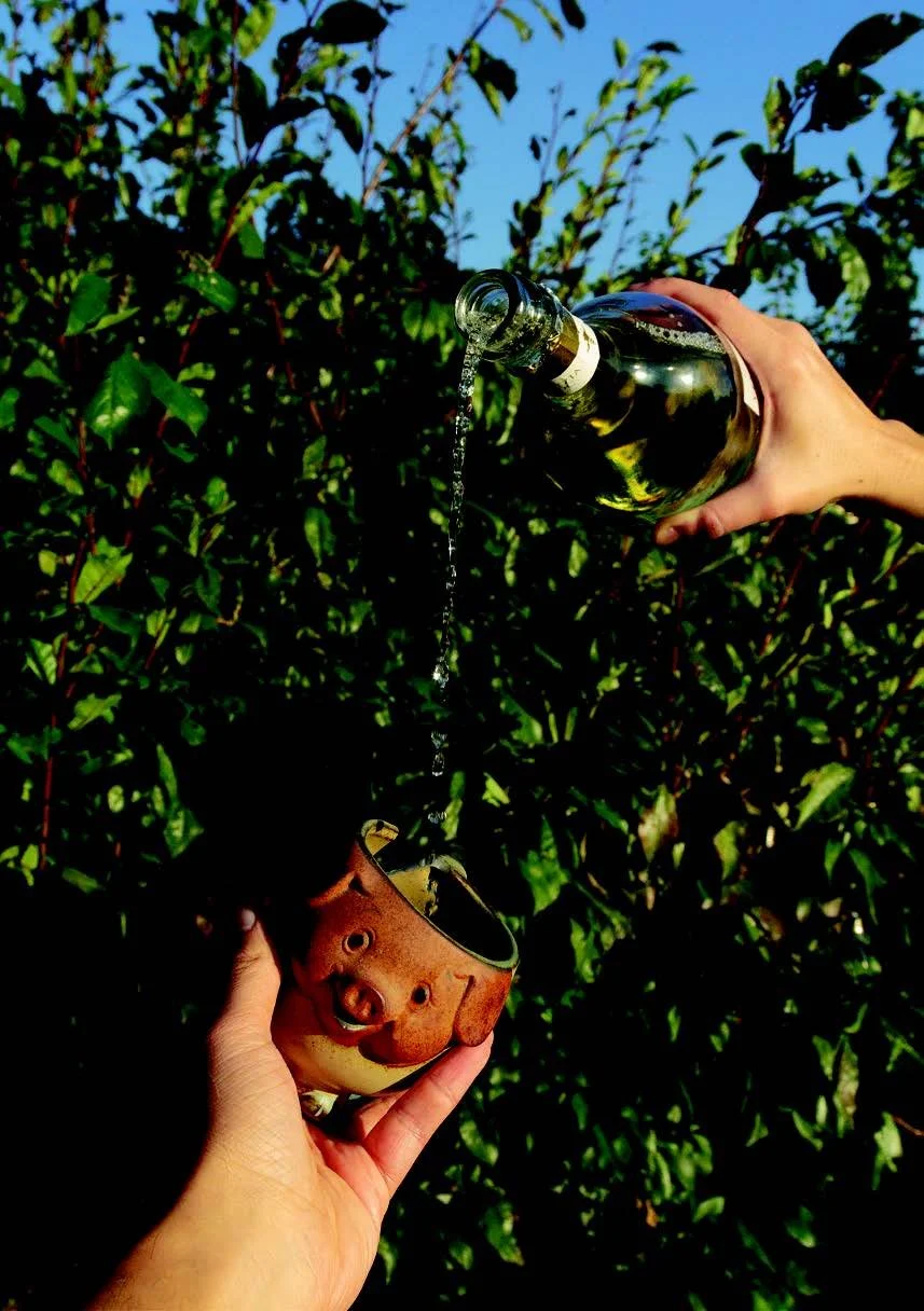 CHAMPAGNE TASTE, BEER BOTTLE POCKET