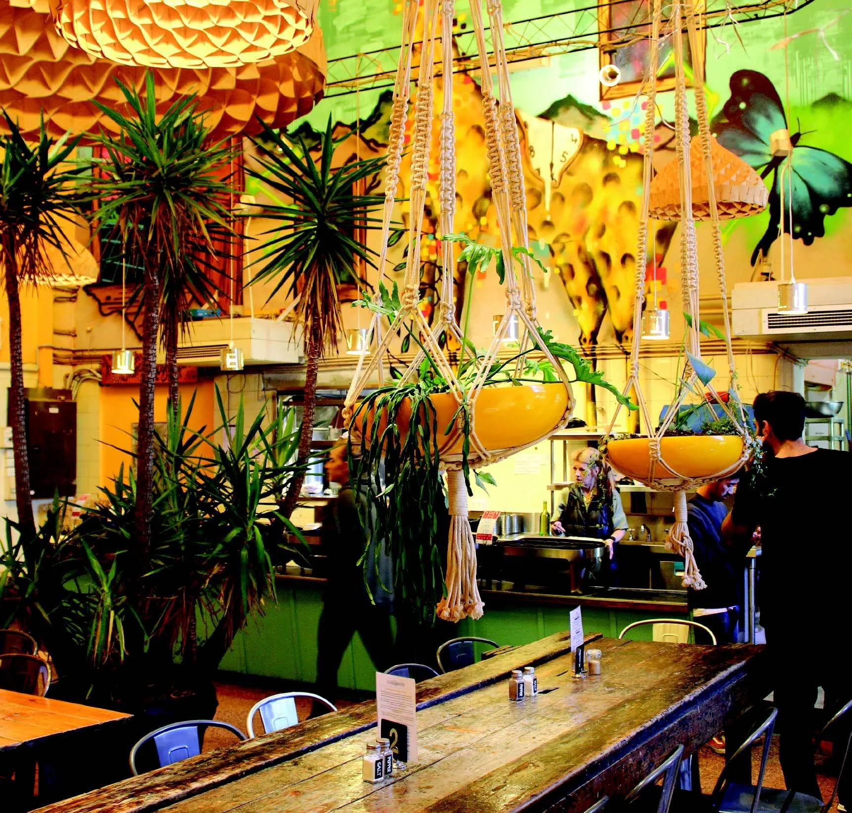 LENTIL AS ANYTHING WITH PAULA GOMEZ