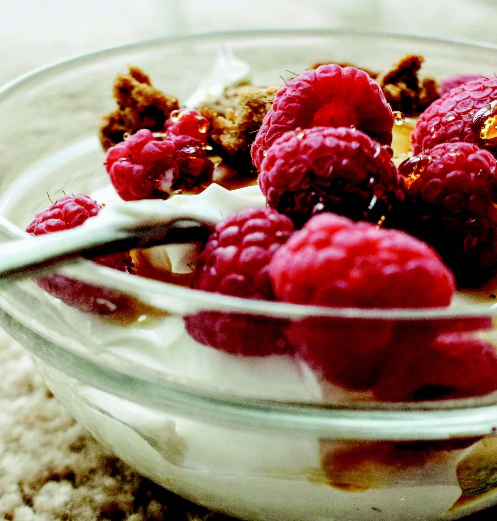 FERMENTED GUTS AND GLORY