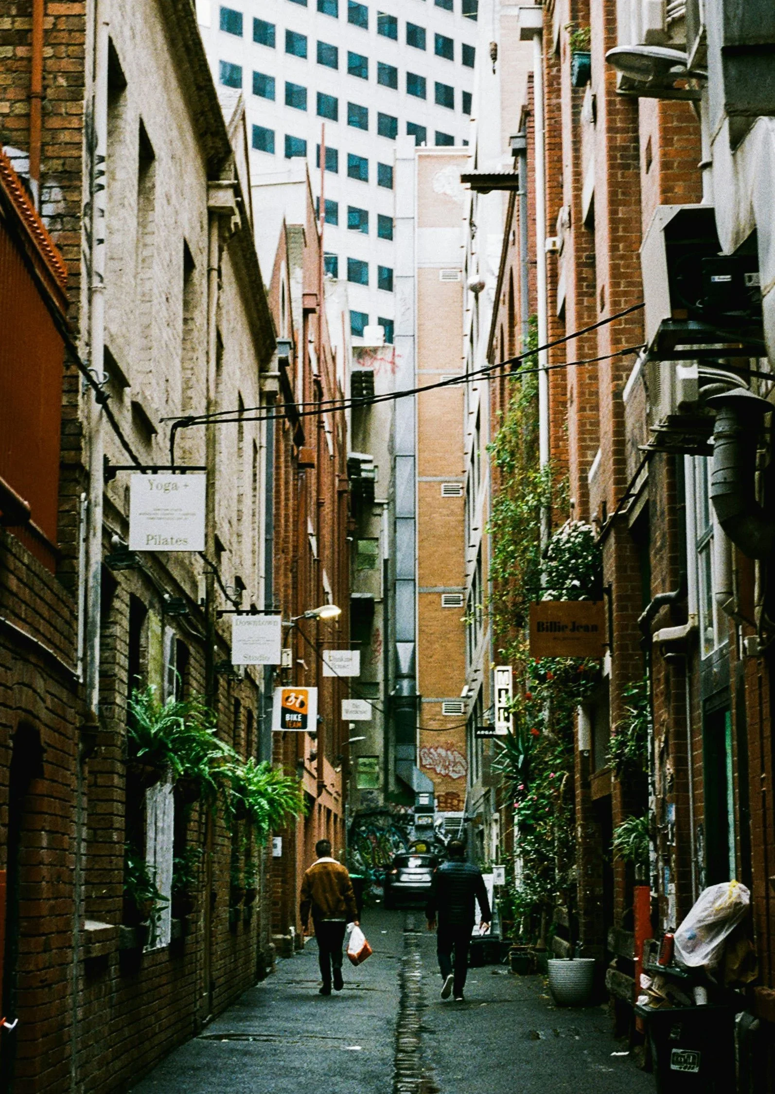 VEGETARIAN RECOMMENDATIONS