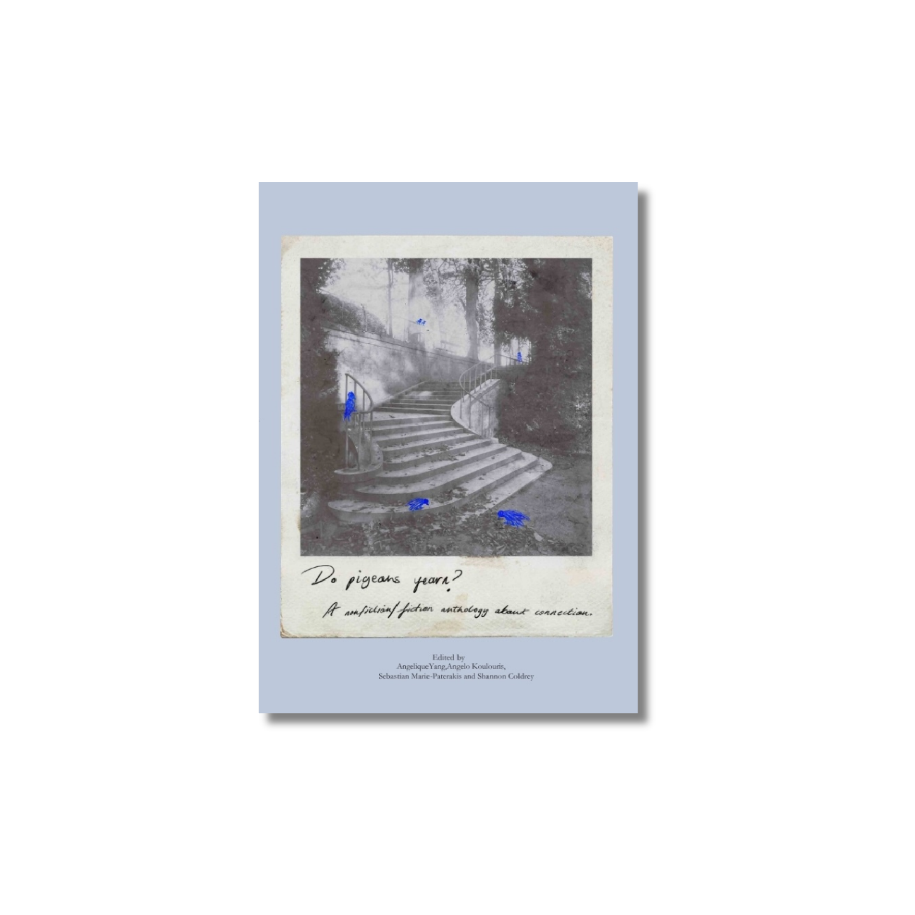 Untitled Design (7).png