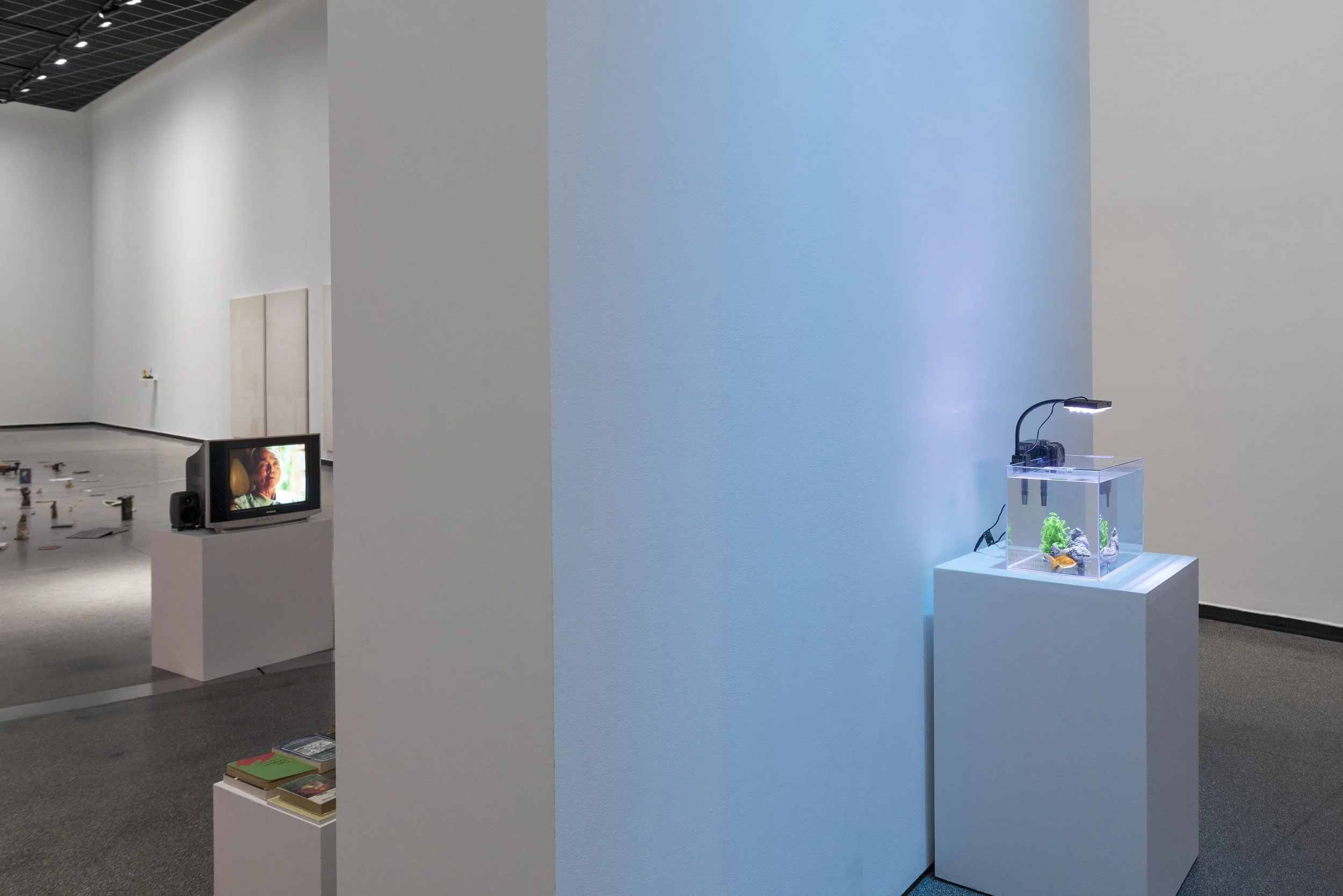 31. Installation View (1).jpg