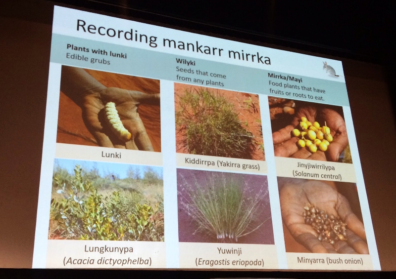 Passing down knowledge of Martu elders. Image by Richard McLellan.