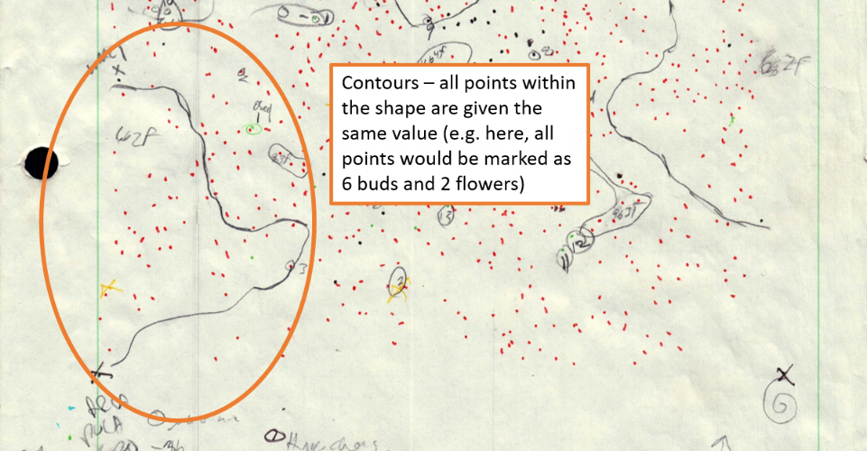 contour.notes.png