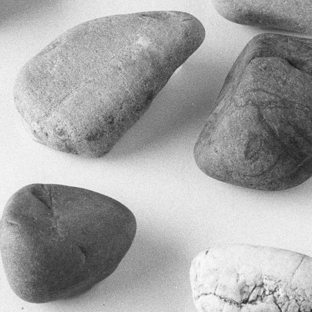 Enlargement from sample 1. FP4+ LC29