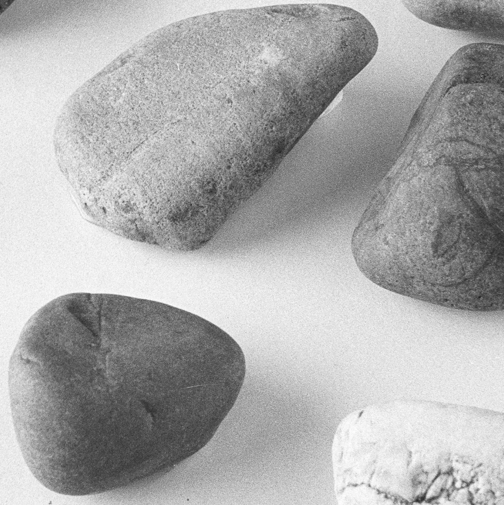 Enlargement from sample 2. FP4+ Perceptol