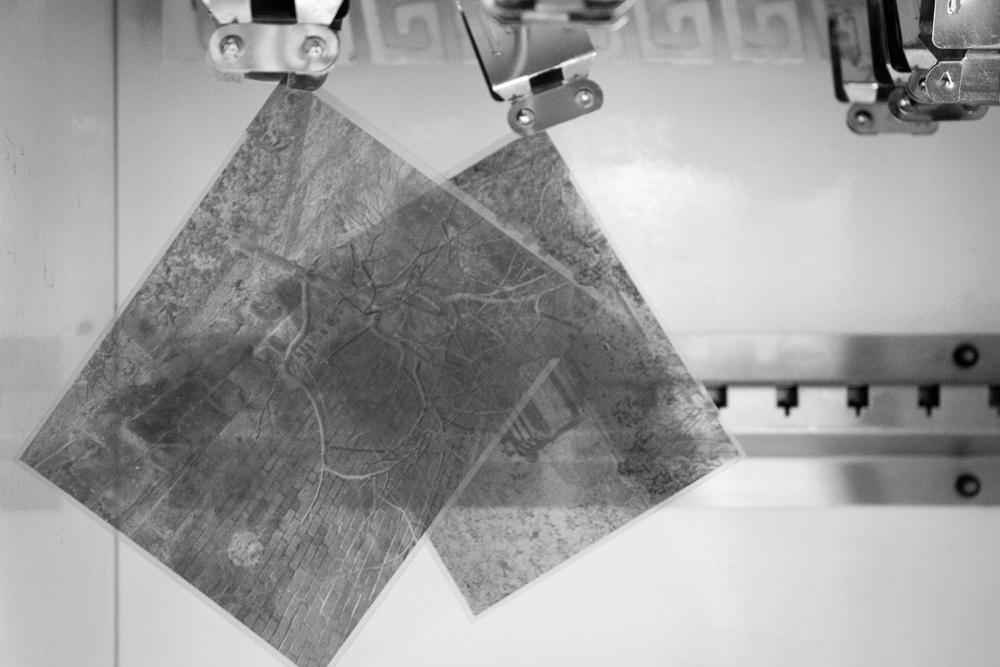 5x4 negatives dry in the film drying cabinet