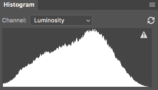 The histogram for tree image above shows abundant midtones invading the space to the sides. There is a huge amount of tonal information here and the photographer has to take care not to let the image appear too muddy.