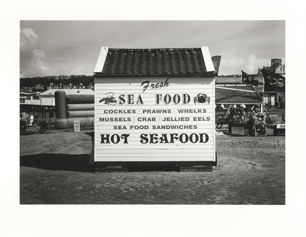 A warmtone darkroom print showing careful modulation of tone, with a strong main subject that is tonally distinct from its environment.