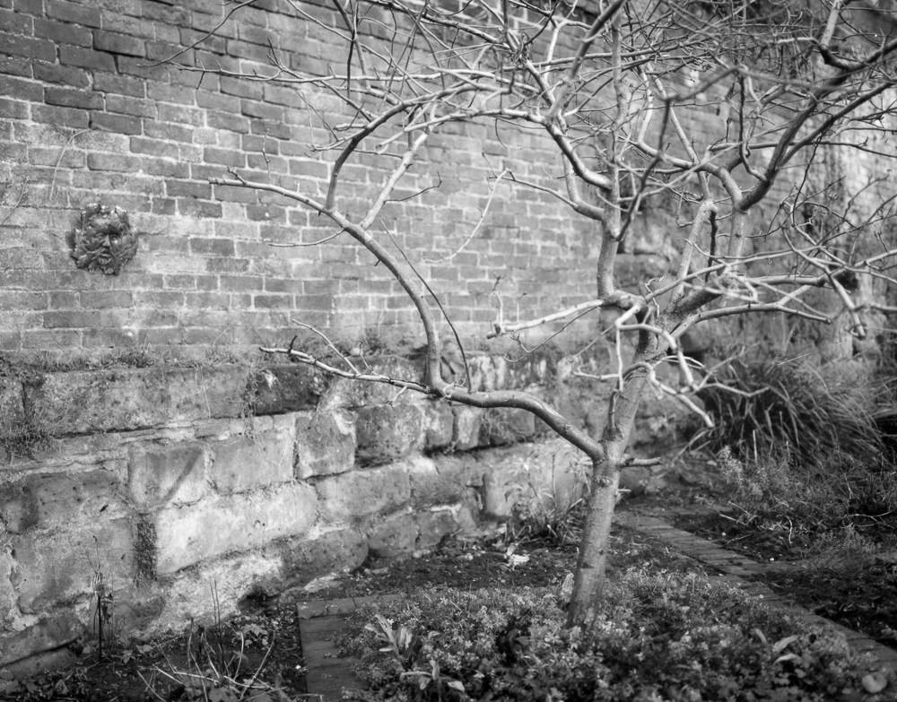 One of my first shots with the Intrepid. Scan of a contact print on warmtone resin coated paper. Film is Ilford Delta 100.