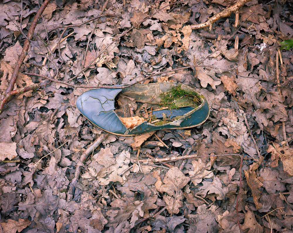The detail in 5x4 negatives is impressive. With top class scans very large prints are possible. Film is Kodak Ektar 100.