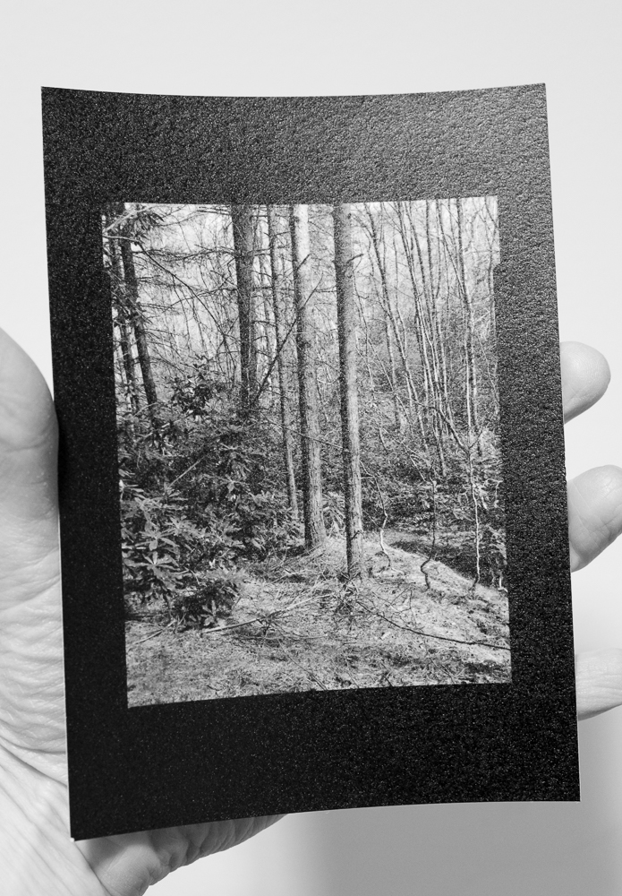 The fruits of my recent 5x4 labours: a small but magical contact print. The tonal range is impressive for a straight print. Paper is Multigrade Art 300, which explains the textured surface. Film is Delta 100 developed in Perceptol.