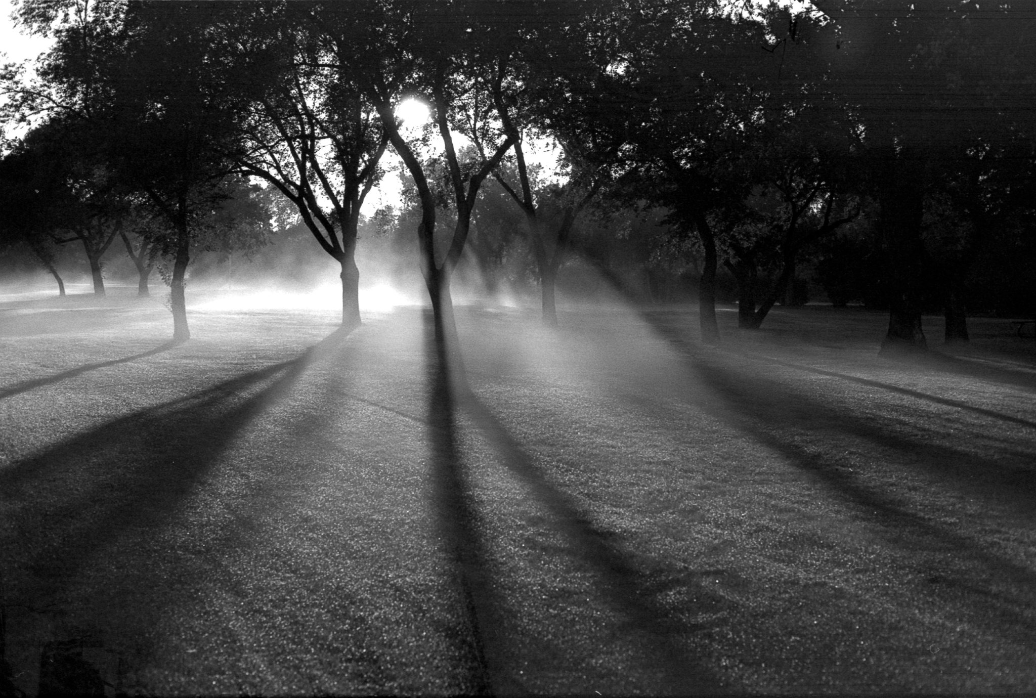 Dustin Veitch, First Light August 2016, Ilford FP4+ film developed in Kodak HC110 1+100.
