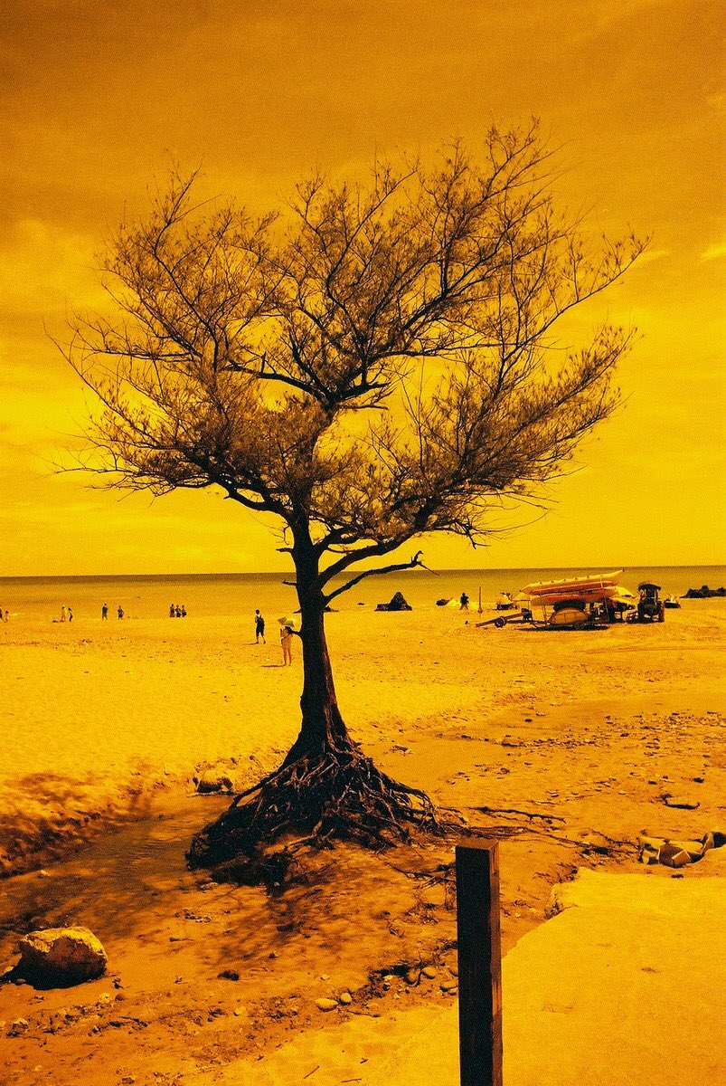 Emulsive (@EMULSIVEfilm), Kodak ULTRAMAX 400 film shot at EI 25.