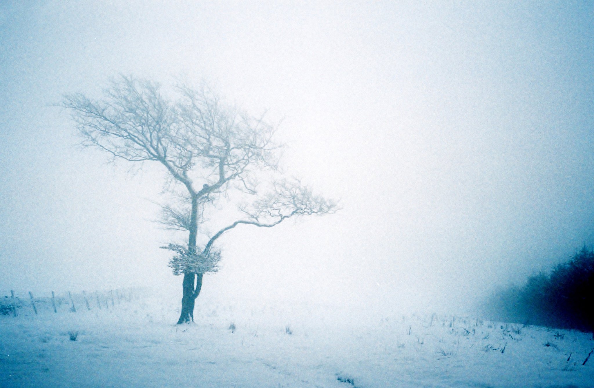 Lucy Wainwright, Fuji Superia 400 film.