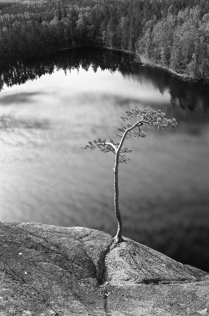 Matias Takala (@elfsprite), Lone Pine, Ilford HP5+ film.