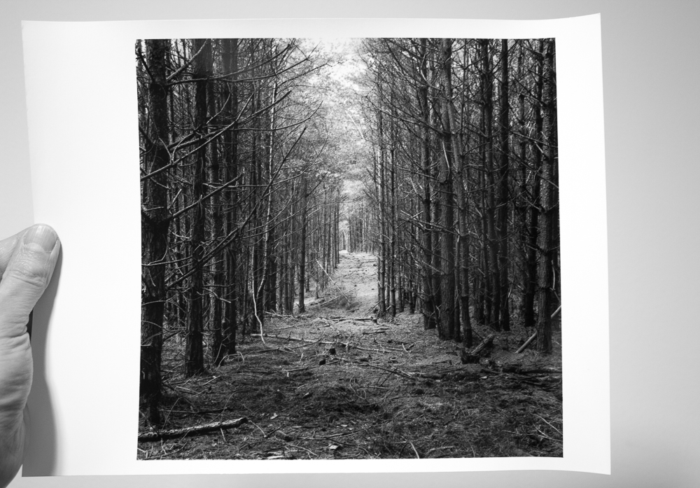 A recent print I made using the warmtone paper in question