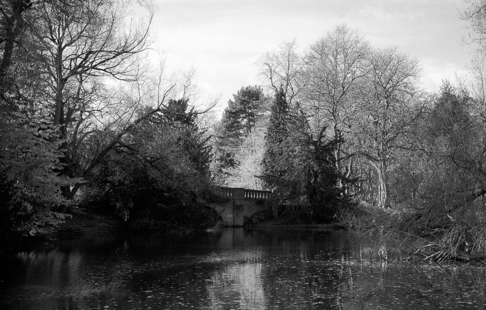Cannon Hill Park, TMAX 100 film