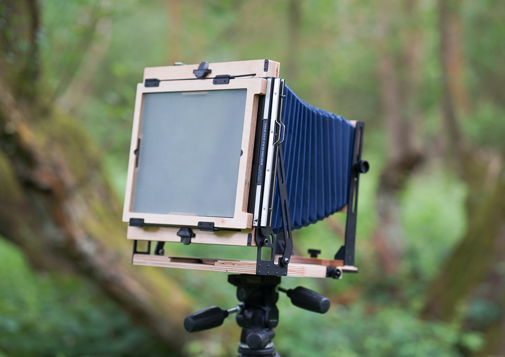 Intrepid 8x10 Camera Wood - Blue Bellows