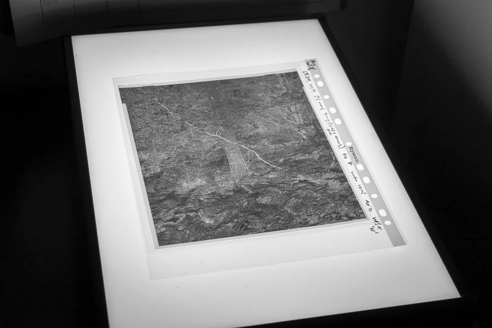 A 10x8 negative on Ilford HP5+, shot on my Intrepid Field Camera