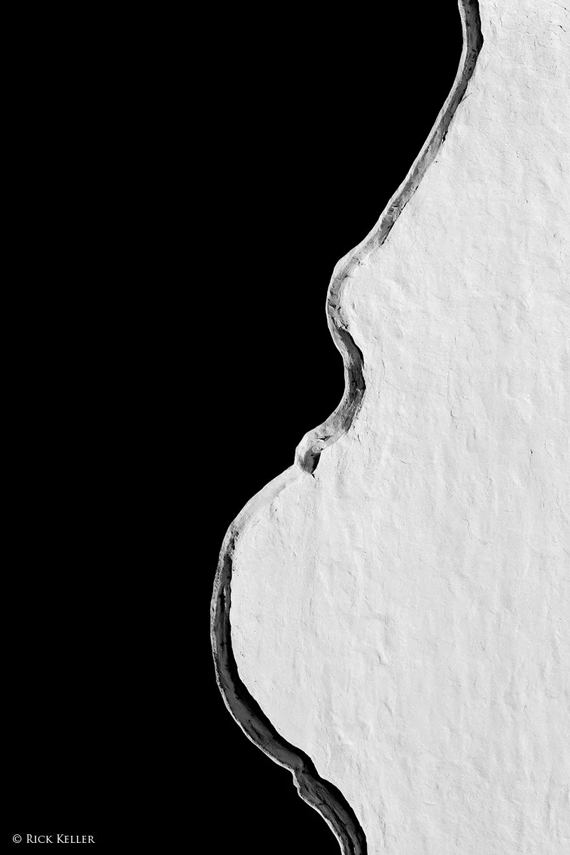 @RickKellerMD, Gravida, Cambo 4x5, Nikon 300mm f9, Ilford Delta 100