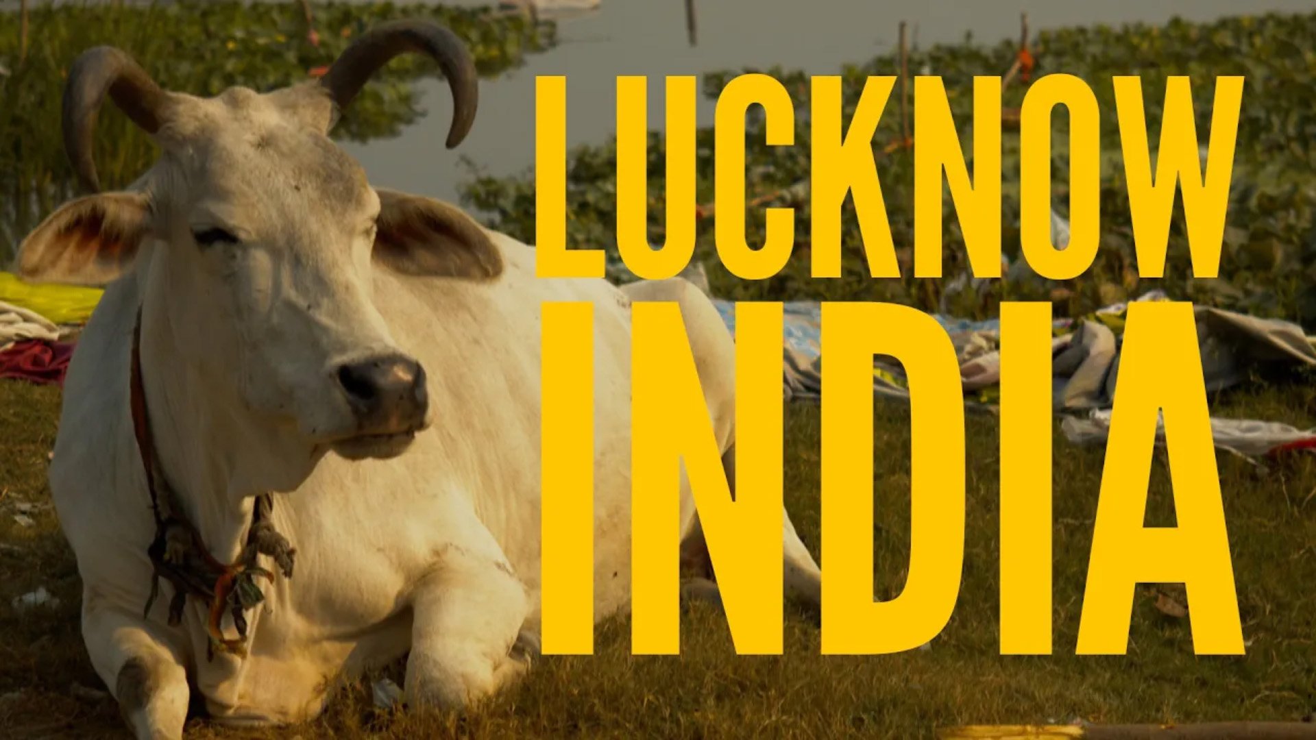 Lucknow, India - A Cultural Immersion Trip