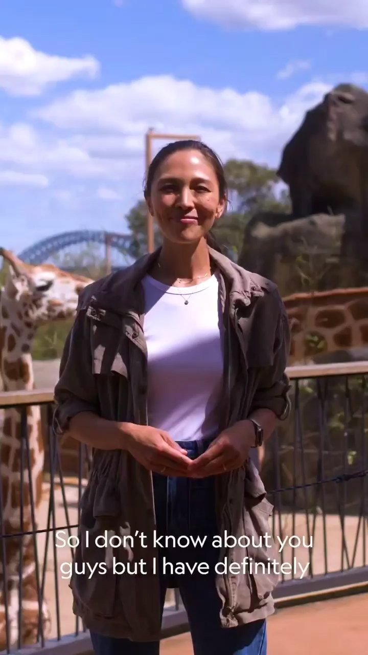 NatGeo - Taronga - Wrap Up