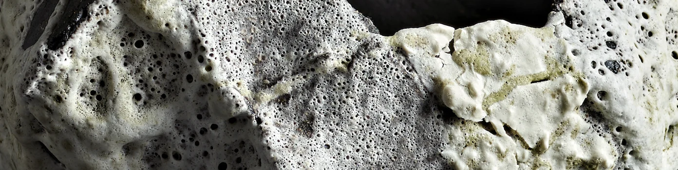 Banner used from Jan 2018 -.jpeg