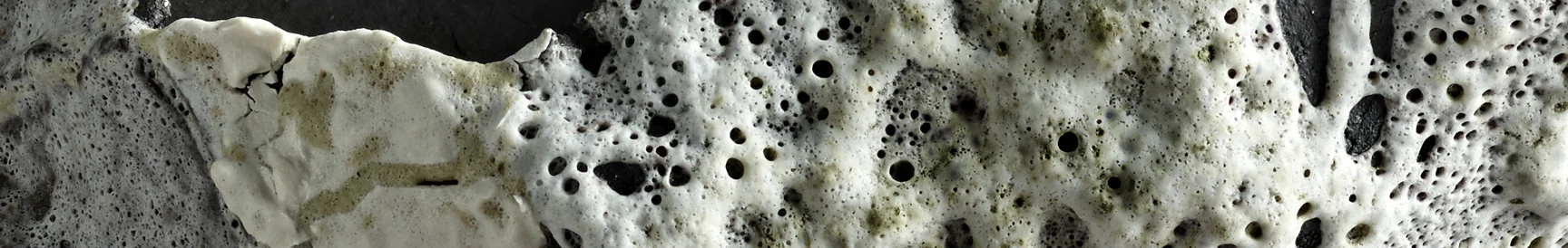 Incubate banner image 2.jpeg