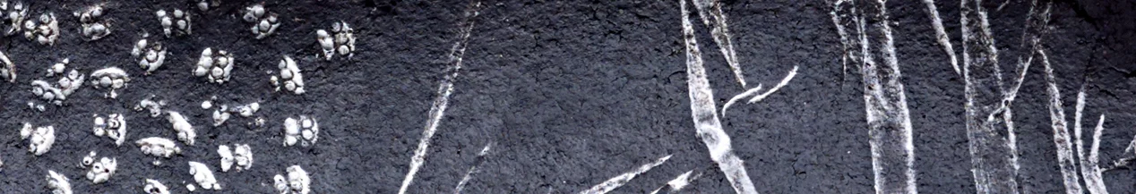 as we are banner image.jpeg