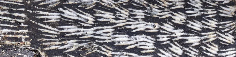 artefacts banner image 4.jpeg